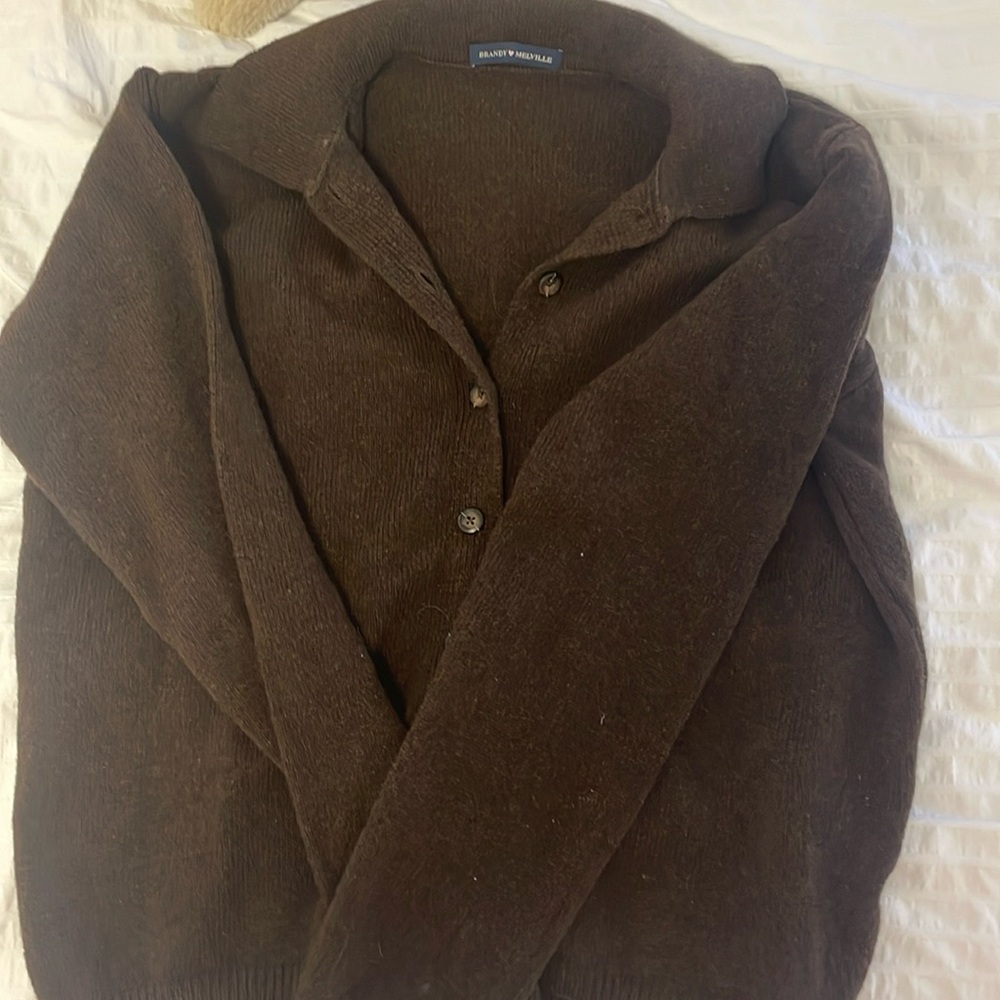 Brown Brandy Melville Sweater